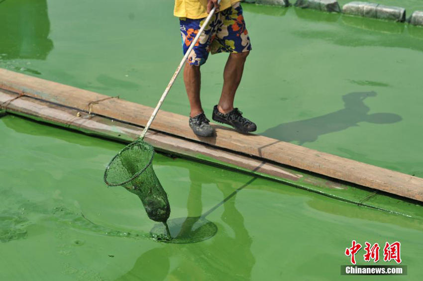 ?? ??(滇池) ??? ?? ??… ‘????’