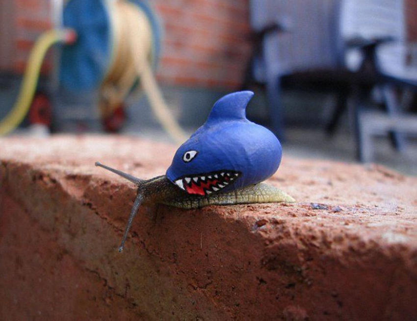 ??? ? ?? ???? ???? ??? ??! 