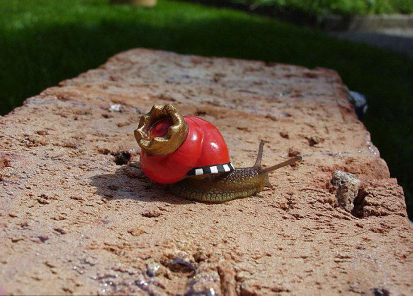 ??? ? ?? ???? ???? ??? ??! 