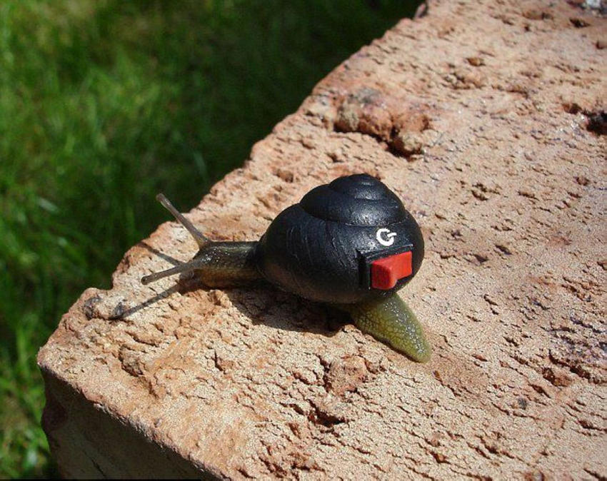 ??? ? ?? ???? ???? ??? ??! 