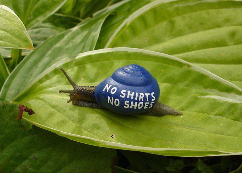 ??? ? ?? ???? ???? ??? ??! 