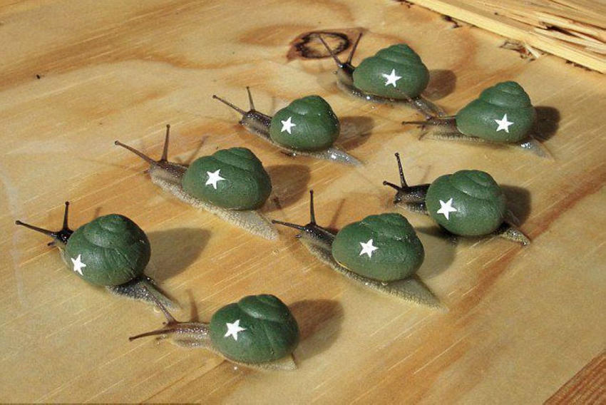 ??? ? ?? ???? ???? ??? ??! 