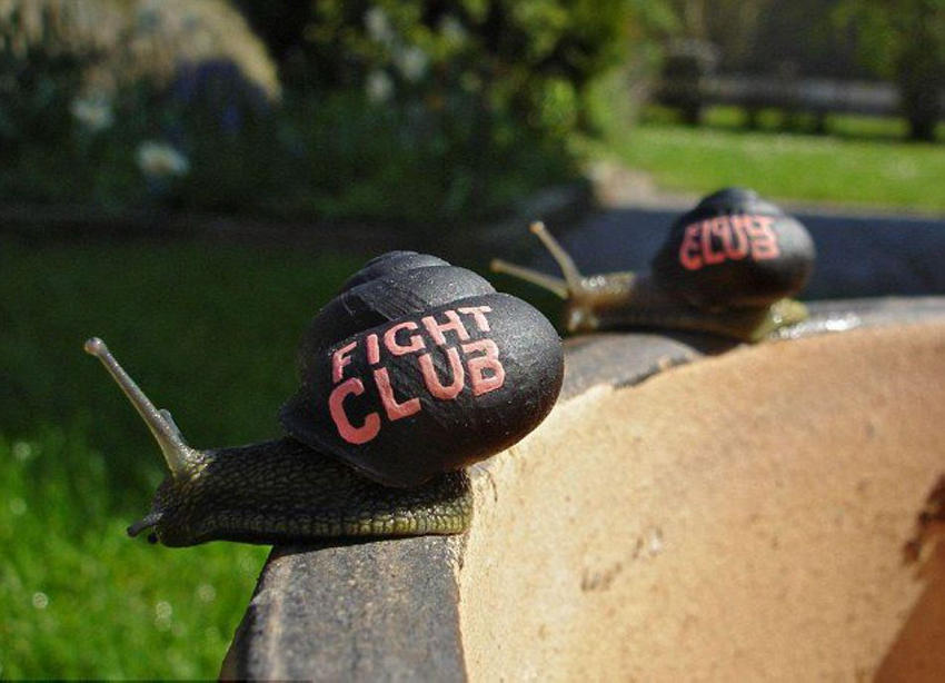 ??? ? ?? ???? ???? ??? ??! 