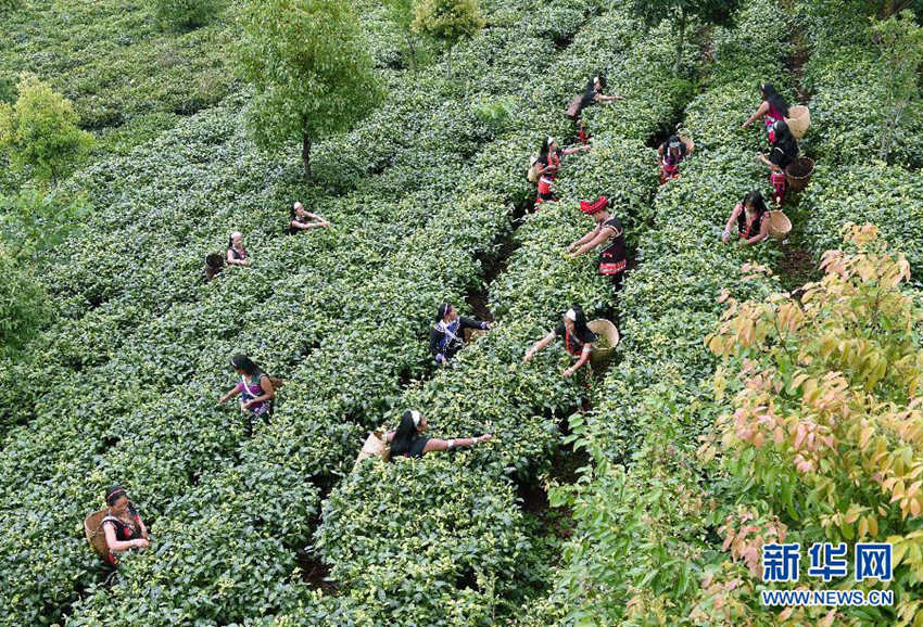 ?? ??? ???? ??…. ???? ?? ???!