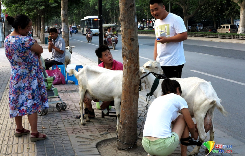 ?? ???? ???? ?? ?? ?? ‘????’