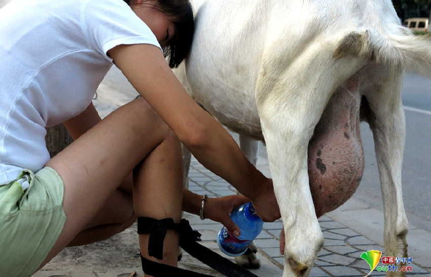 ?? ???? ???? ?? ?? ?? ‘????’