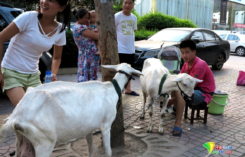 ?? ???? ???? ?? ?? ?? ‘????’