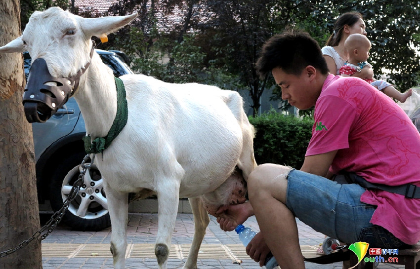 ?? ???? ???? ?? ?? ?? ‘????’