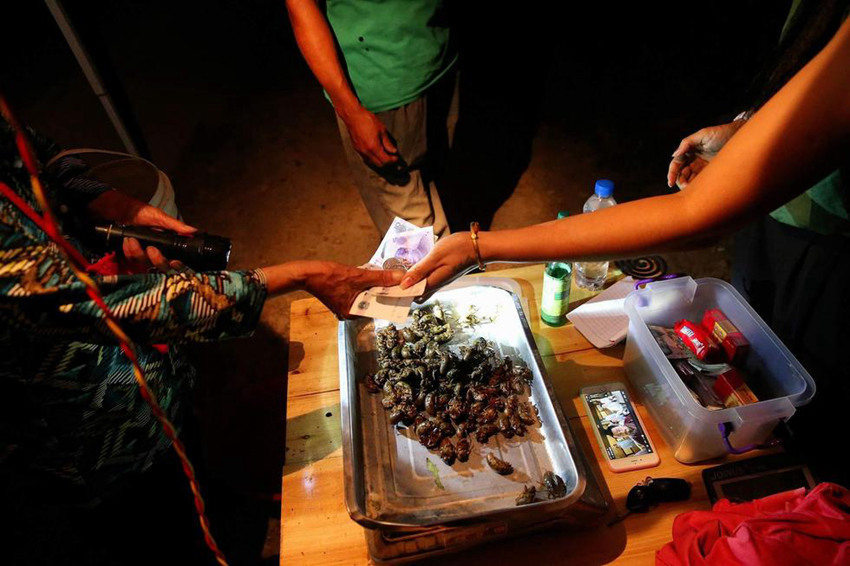 ??? ??? ??? ??… ??? ??? ?? ?? 