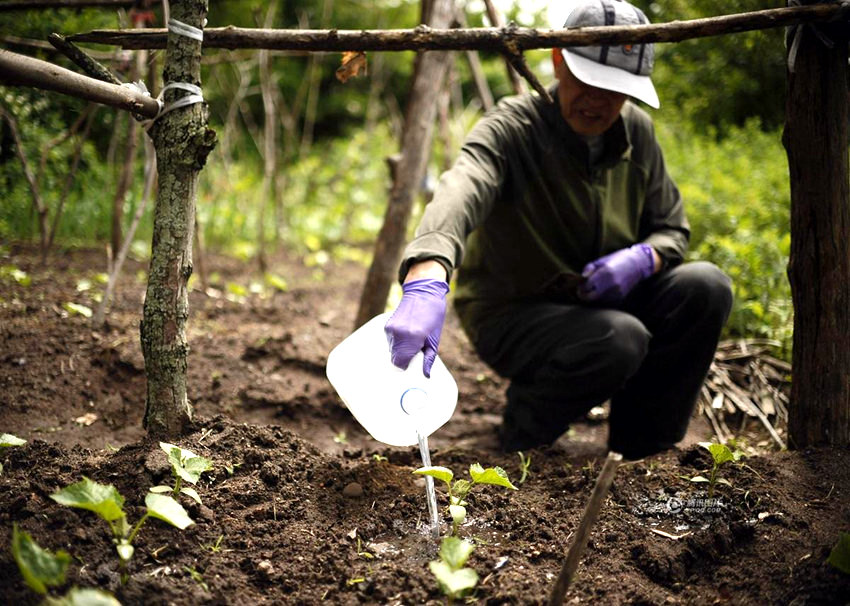 ?? ?? ??? ??? ???? 中 ????? ????