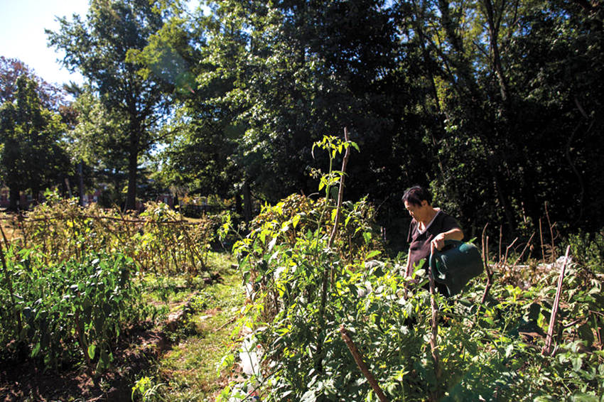 ?? ?? ??? ??? ???? 中 ????? ????