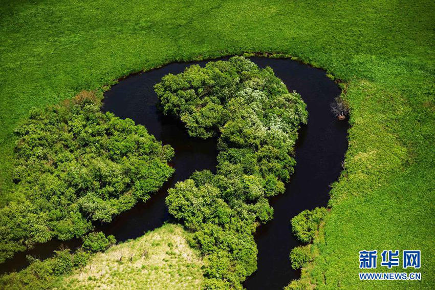 ???? ??? ??? ??, ???? ??? ??