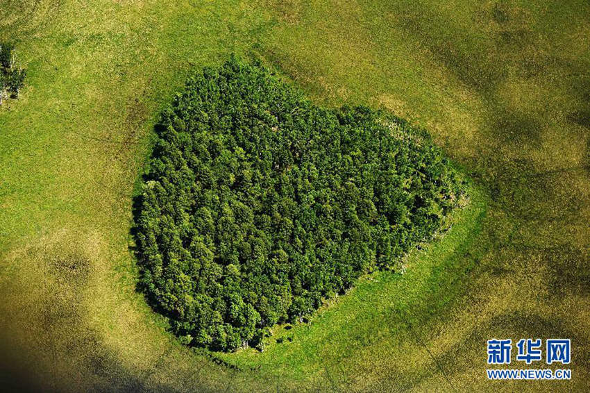 ???? ??? ??? ??, ???? ??? ??