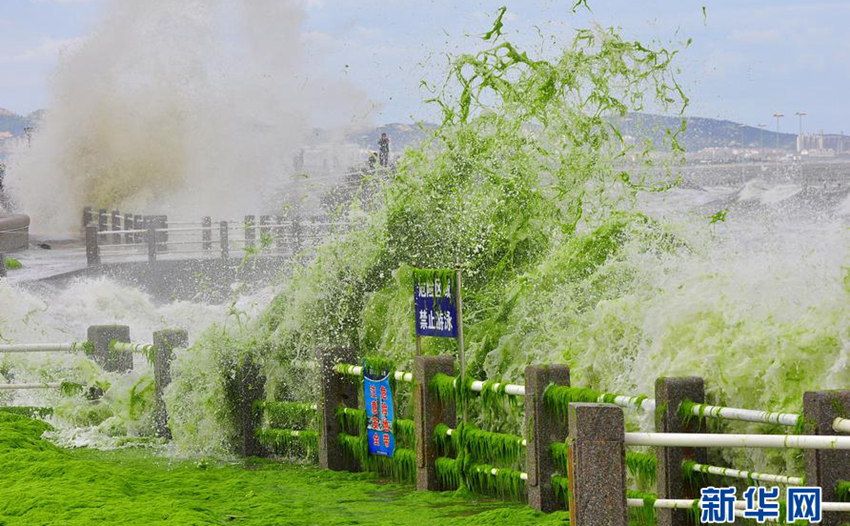 ??? ?? ??, ???? ??? ?? ???