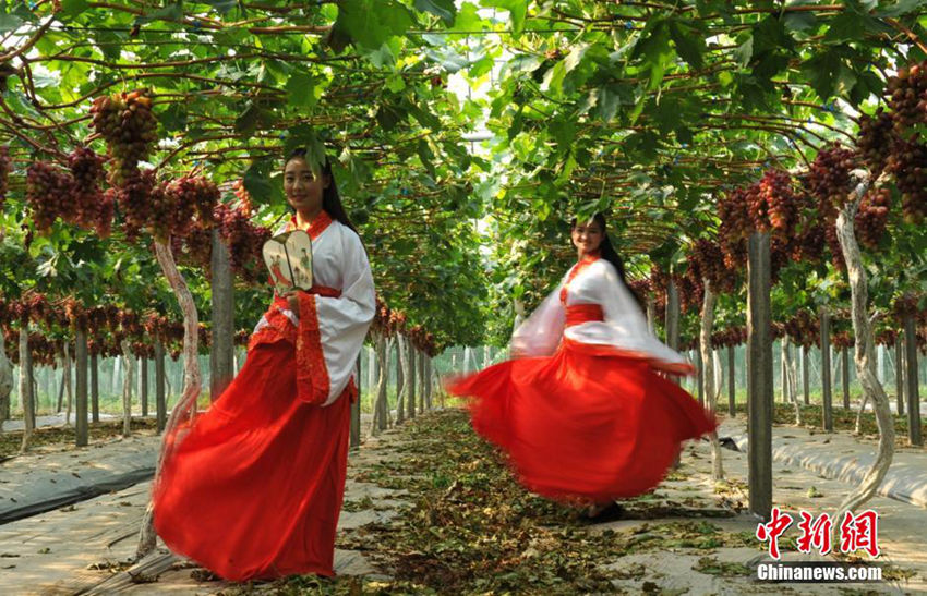 ?? ?? ????, ???? ?? ?? ??? ??