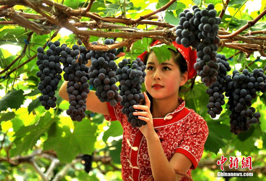 ?? ?? ????, ???? ?? ?? ??? ??