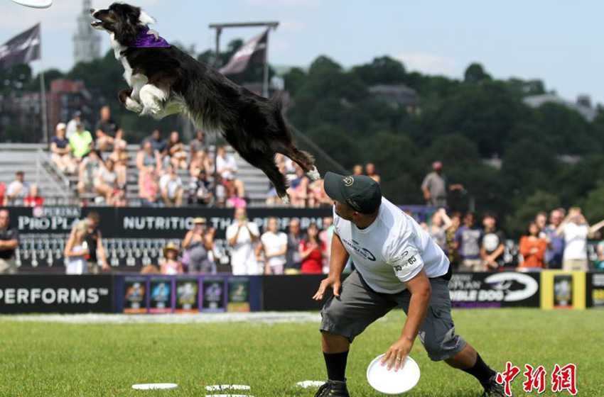 ???? ??? ?? ???… '??? ???!'