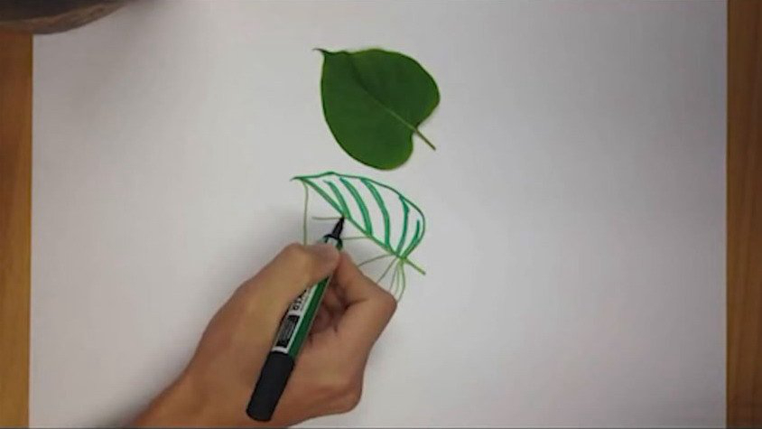 ???? ???? 3D ???? ???… ??? ???