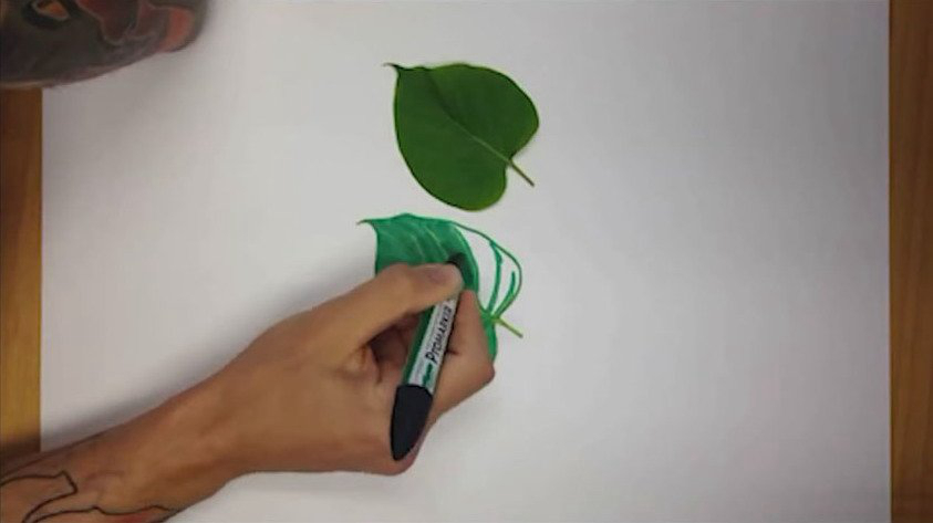 ???? ???? 3D ???? ???… ??? ???