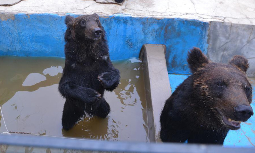 ???? '??? ?? ?? ??’, ?? ????