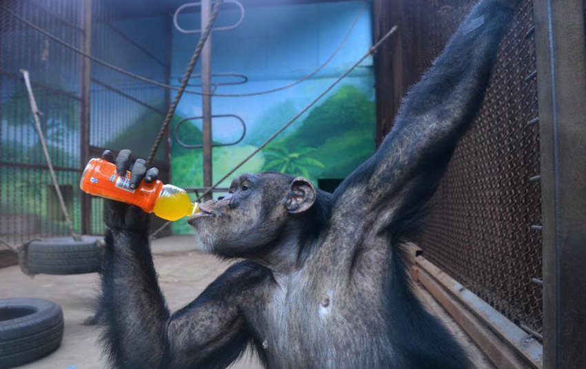 ???? '??? ?? ?? ??’, ?? ????