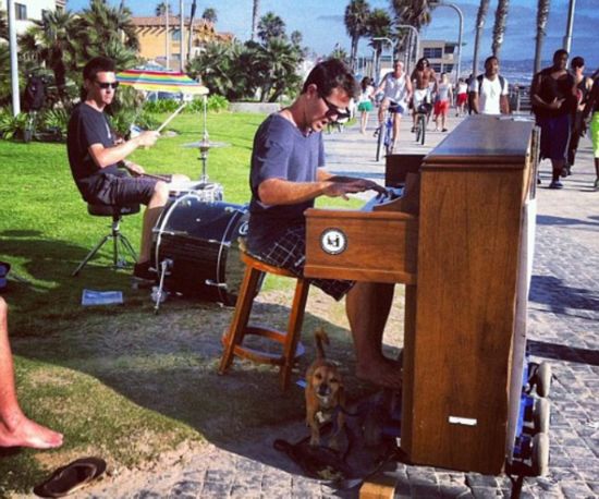 ?? ??, ??? ?? NO! ?? ?? GO!