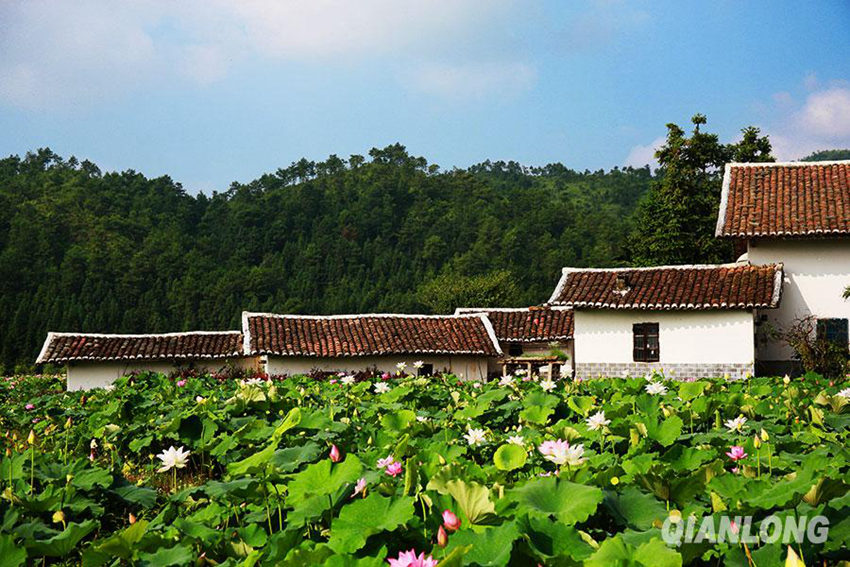 ?? 1? ?? ??, ?? ? ???? ‘????'