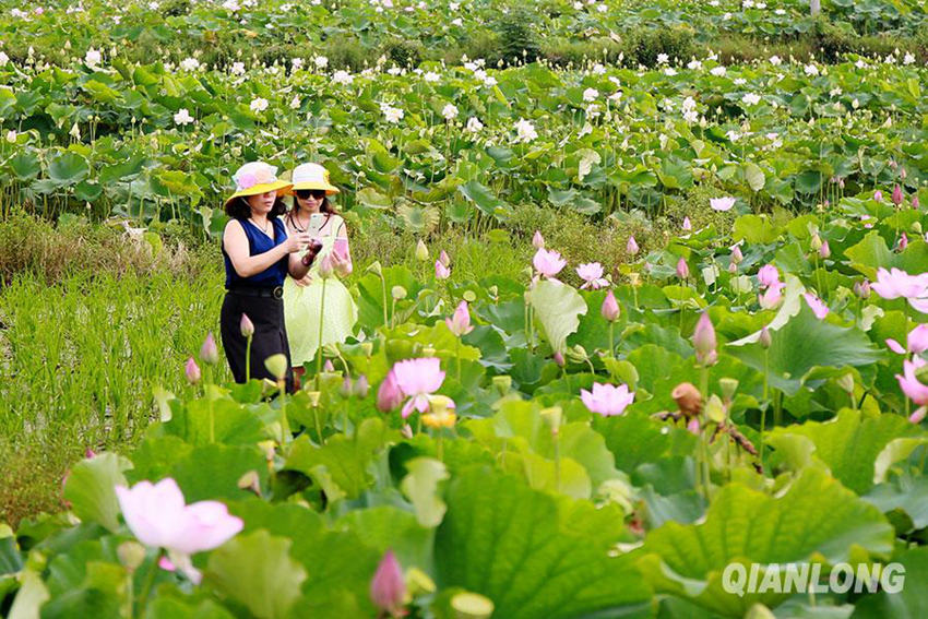 ?? 1? ?? ??, ?? ? ???? ‘????'