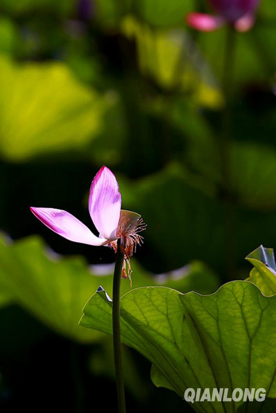 ?? 1? ?? ??, ?? ? ???? ‘????'