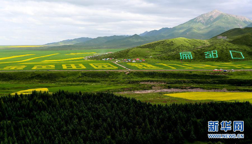 ?? ??(民樂(lè))?, ??? ??... ?? ?? ???