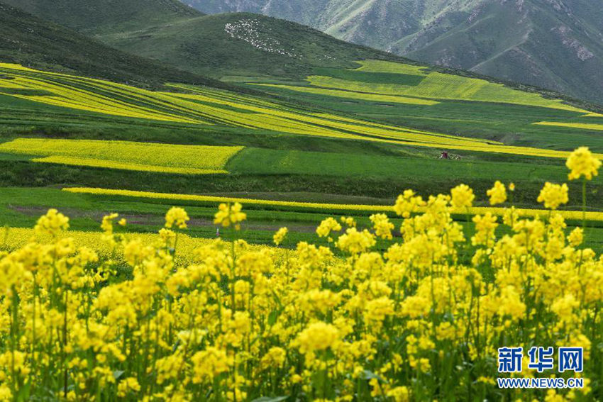 ?? ??(民樂)?, ??? ??... ?? ?? ???