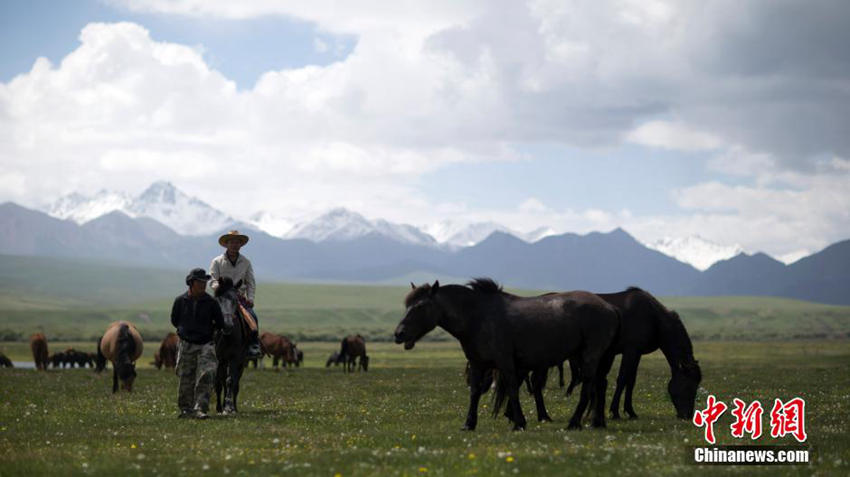 ‘?? ?? ??’ ??? ???? ???? ??