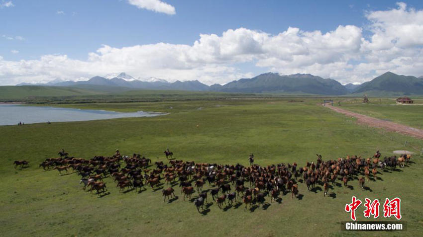 ‘?? ?? ??’ ??? ???? ???? ??