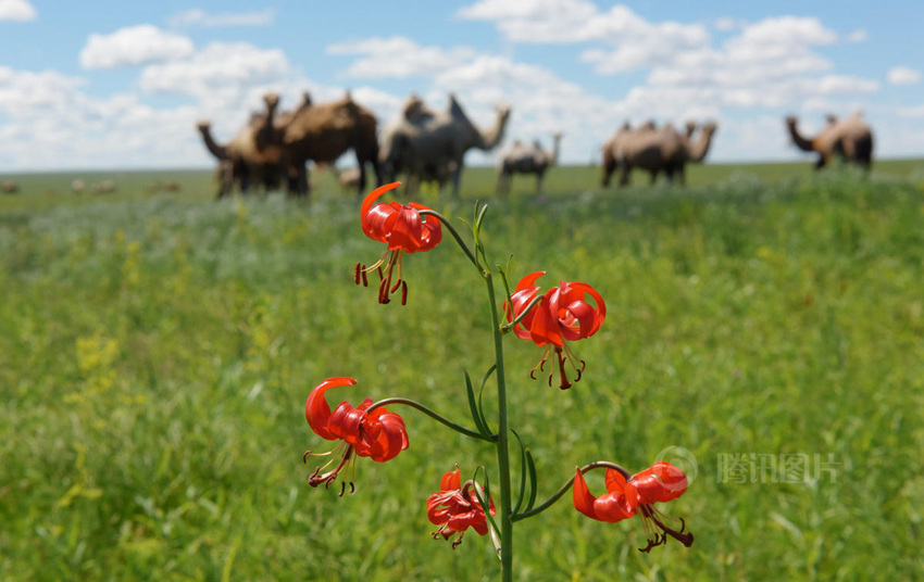 ???? ????? '?? ??', ???? ?? ??