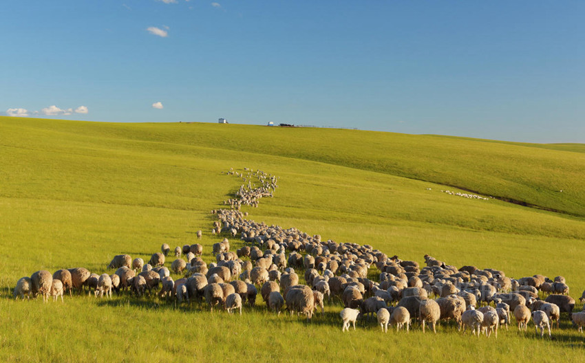 ???? ????? '?? ??', ???? ?? ??