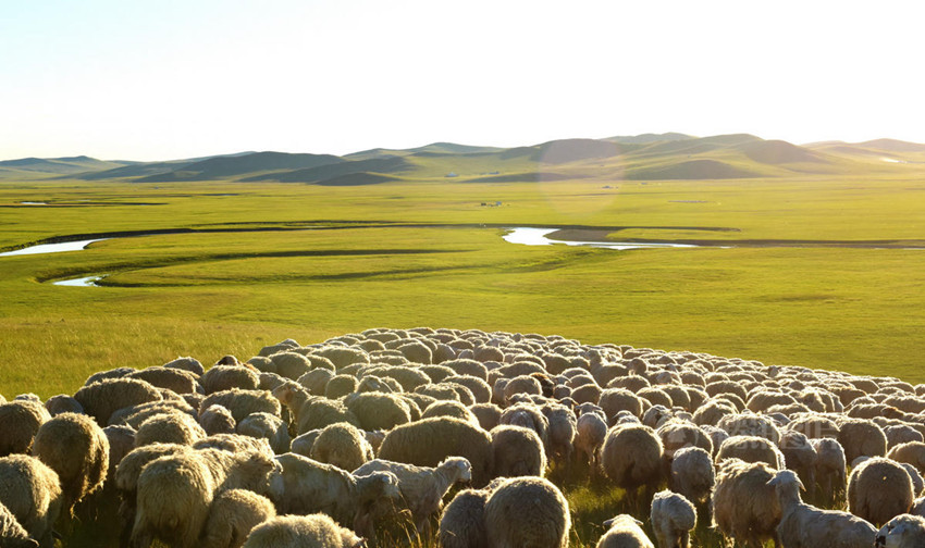 ???? ????? '?? ??', ???? ?? ??