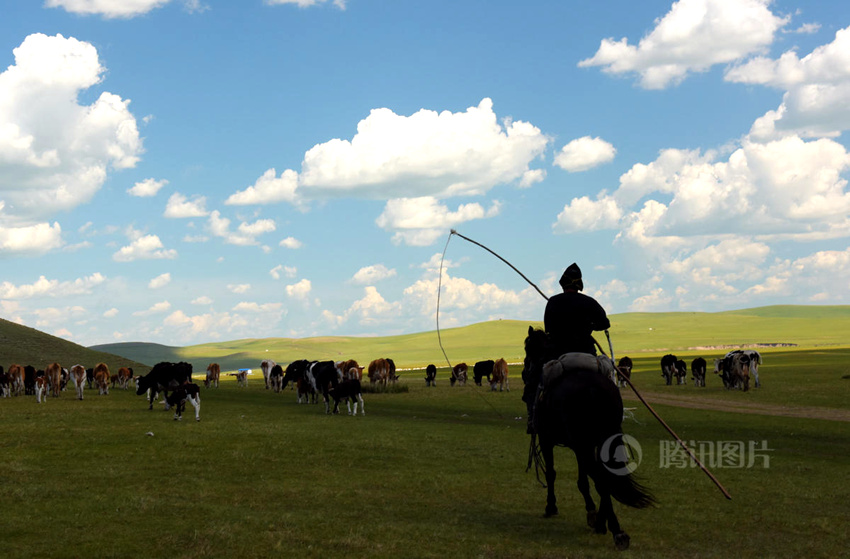 ???? ????? '?? ??', ???? ?? ??