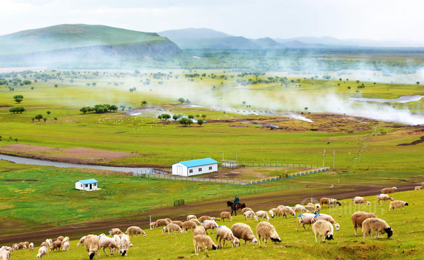 ???? ????? '?? ??', ???? ?? ??