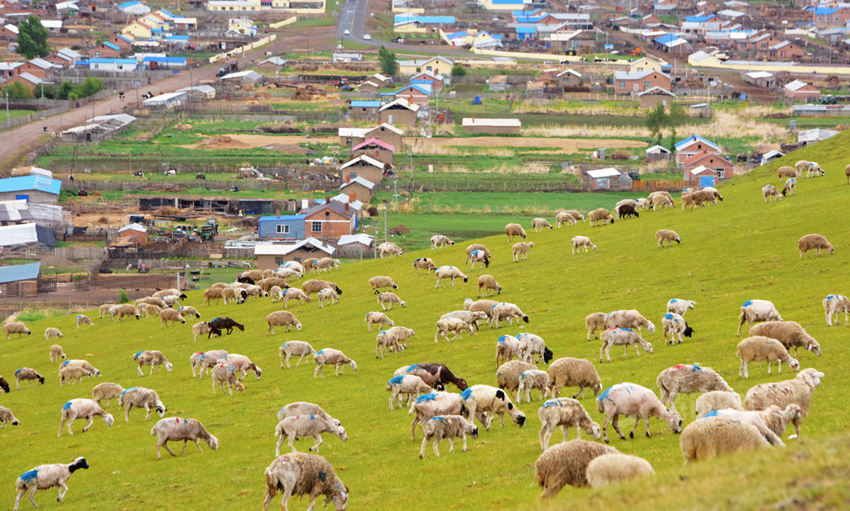 ???? ????? '?? ??', ???? ?? ??