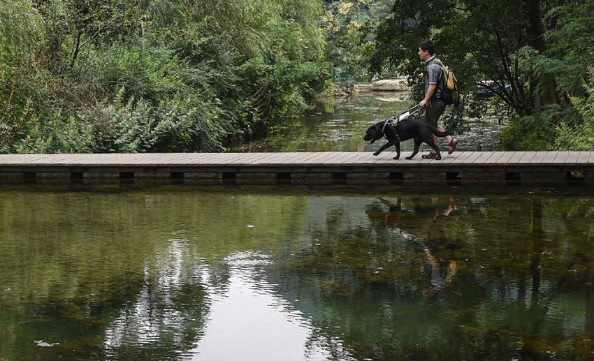 ???? ? ?? ???? ??? ‘??’? ???