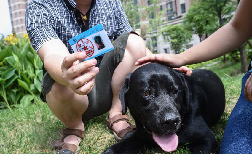 ???? ? ?? ???? ??? ‘??’? ???