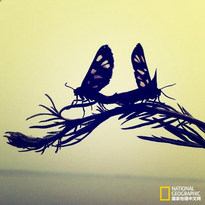 ‘??? ?????'????? ??? 6? ?? ‘??'