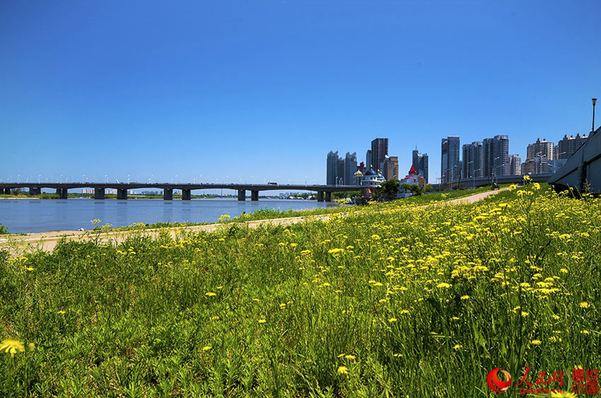 ???? ??? ‘?? ??’ ???? ?? 