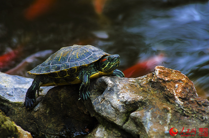 ???? ??? ‘?? ??’ ???? ?? 