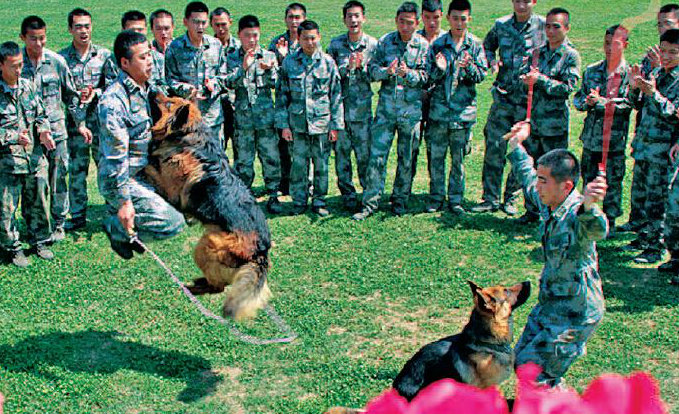 ?? ?? ????, ??? ???? ????? ??