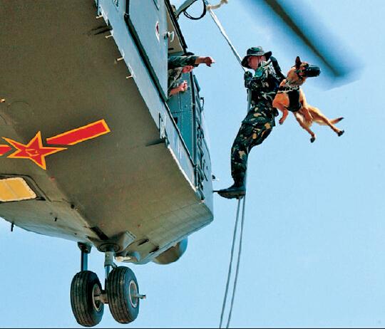 ?? ?? ????, ??? ???? ????? ??