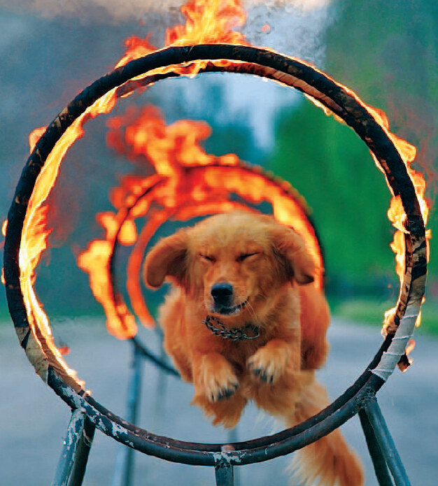 ?? ?? ????, ??? ???? ????? ??