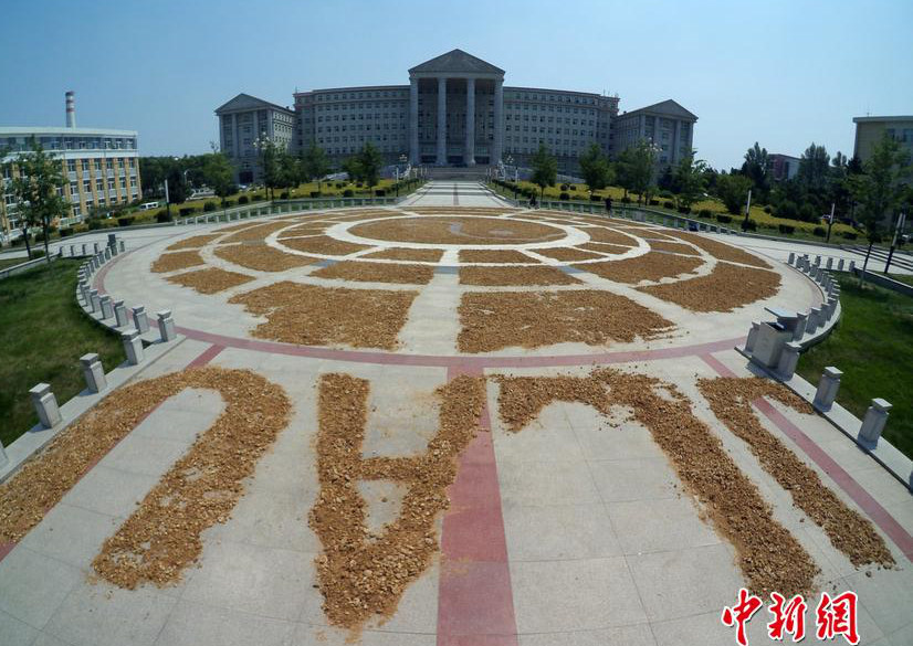 ??? ? ???? ???? ???, ?? ?? ??