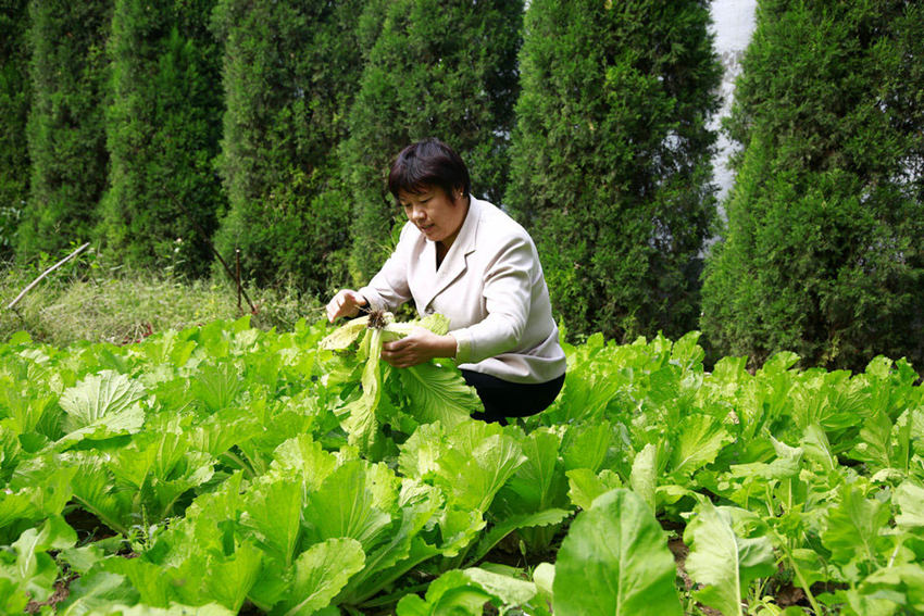 ??? ? ? ?? ?????? ???