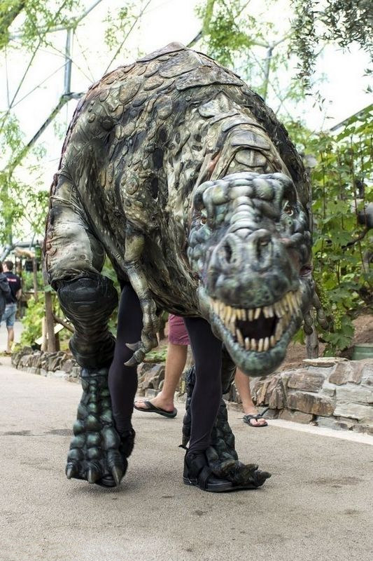 ?? ?? ?? ???, ?? ?? ???? 100%